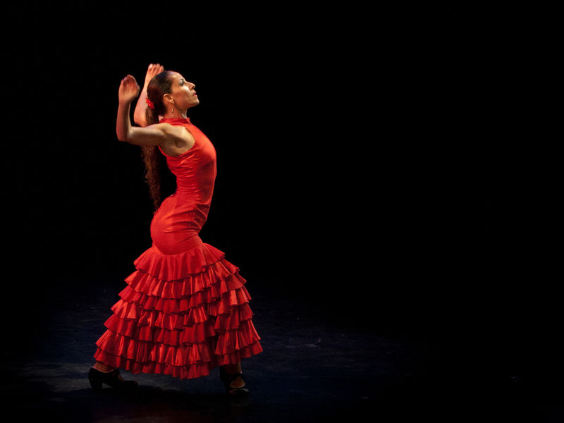 Fichier:Flamenco.jpg